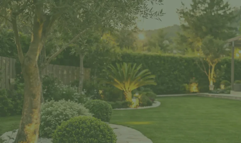 ανακαίνιση κήπου