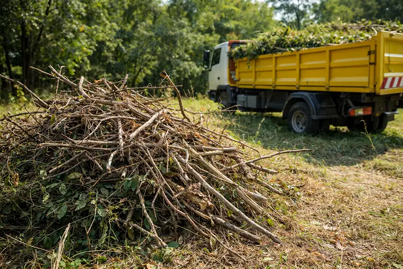 καθαρισμός οικοπέδων